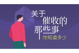 威信债务清欠服务